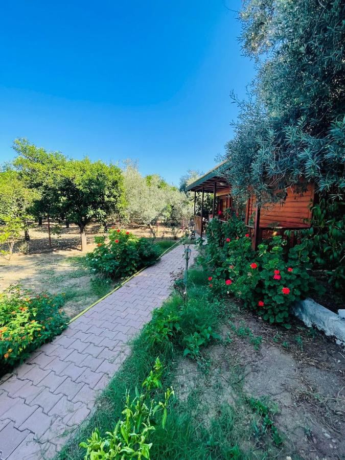 Felicity Hotel & Bungalows Kemer Exterior foto