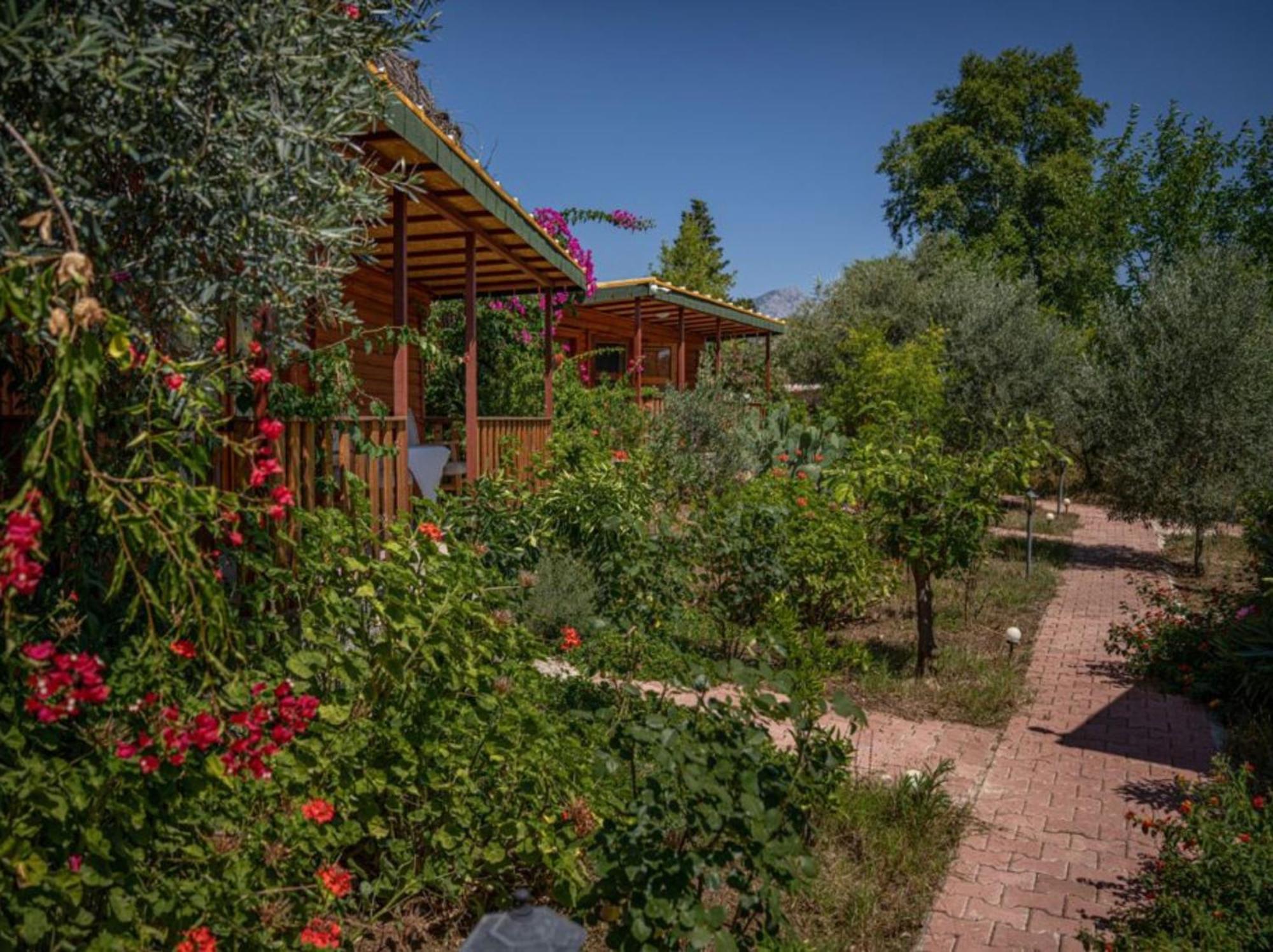 Felicity Hotel & Bungalows Kemer Exterior foto