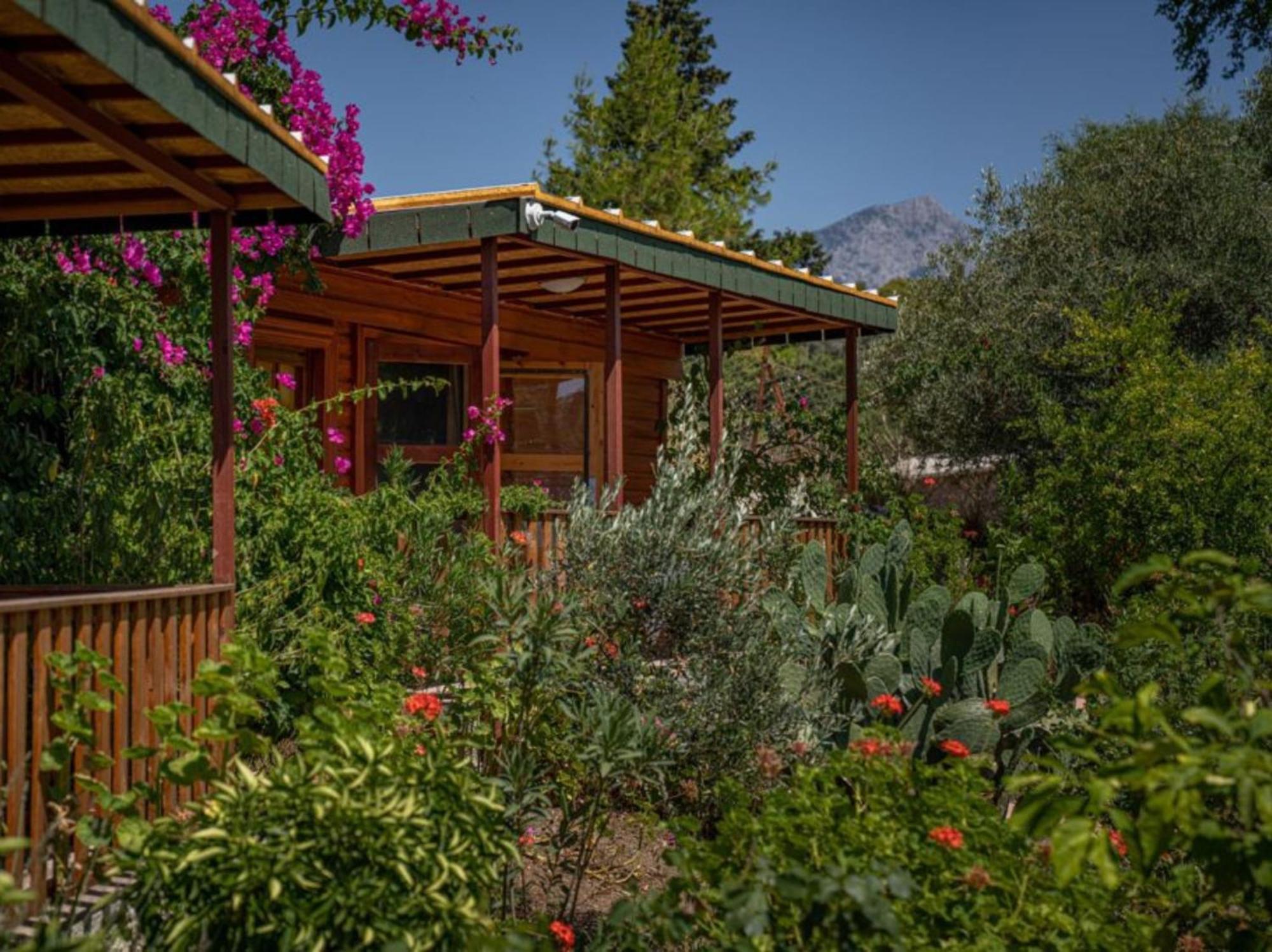 Felicity Hotel & Bungalows Kemer Exterior foto